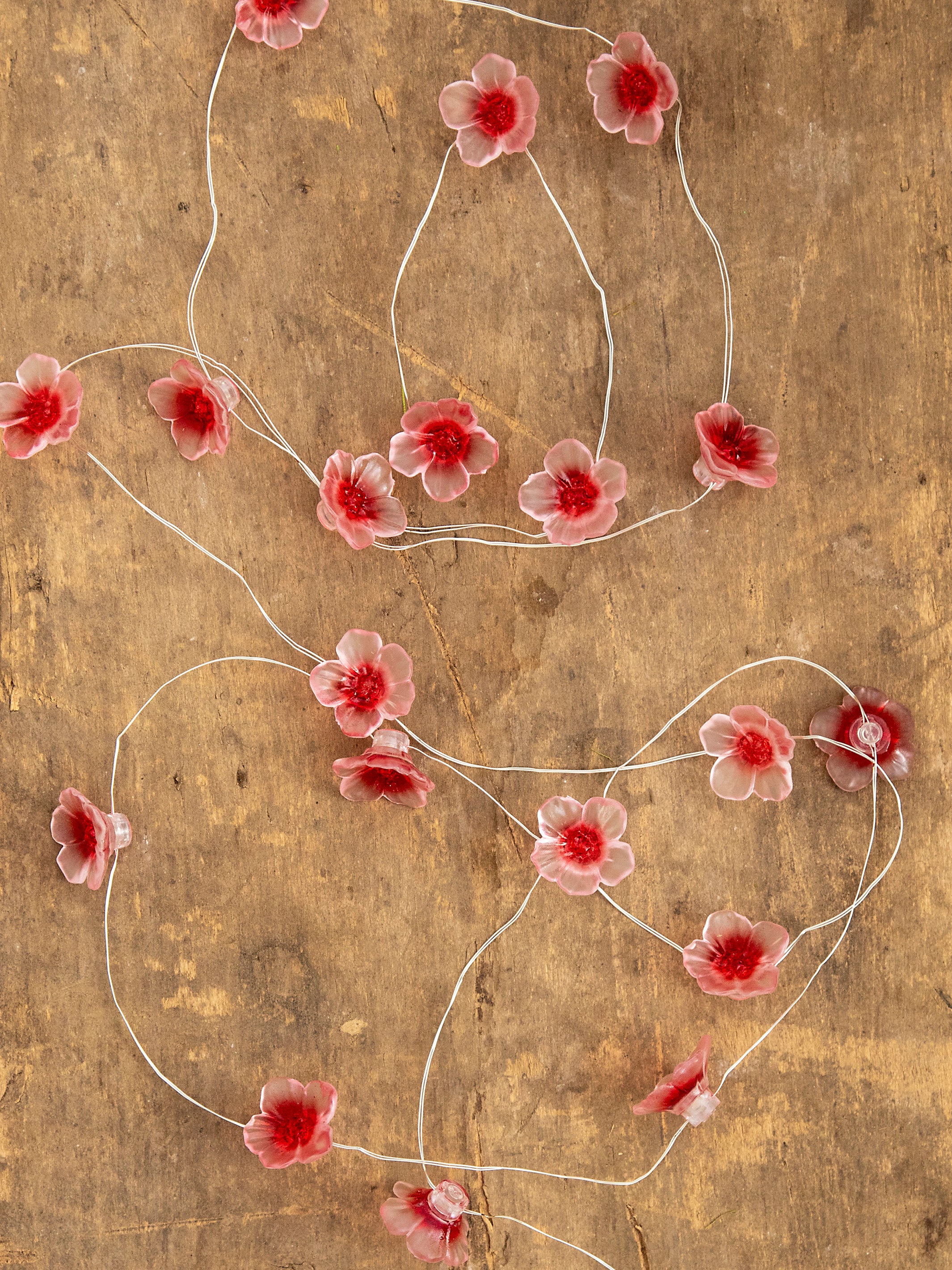 Blossom String Lights - Rose