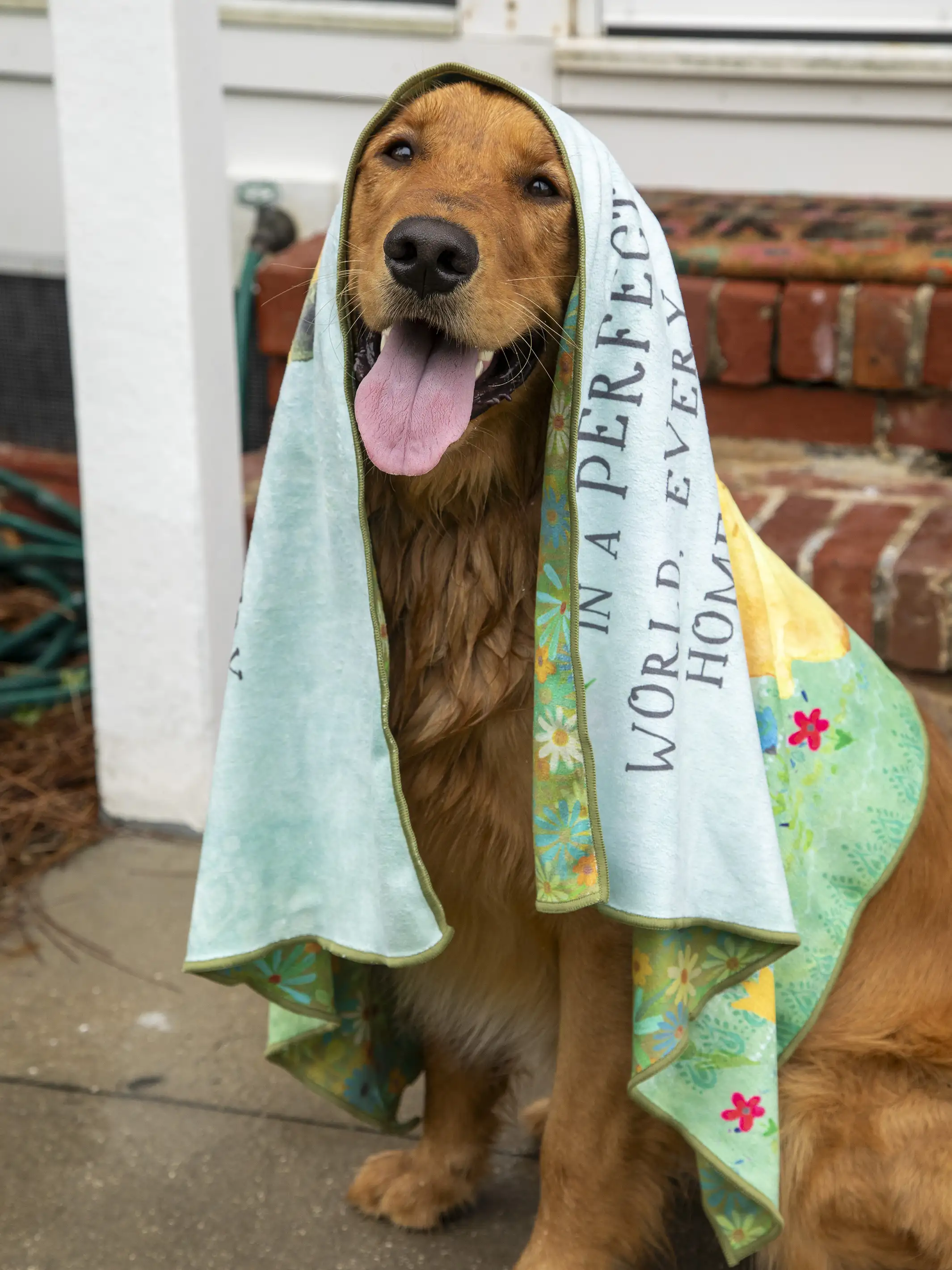 Microfiber Pet Towel - Ditsy Floral Daisies