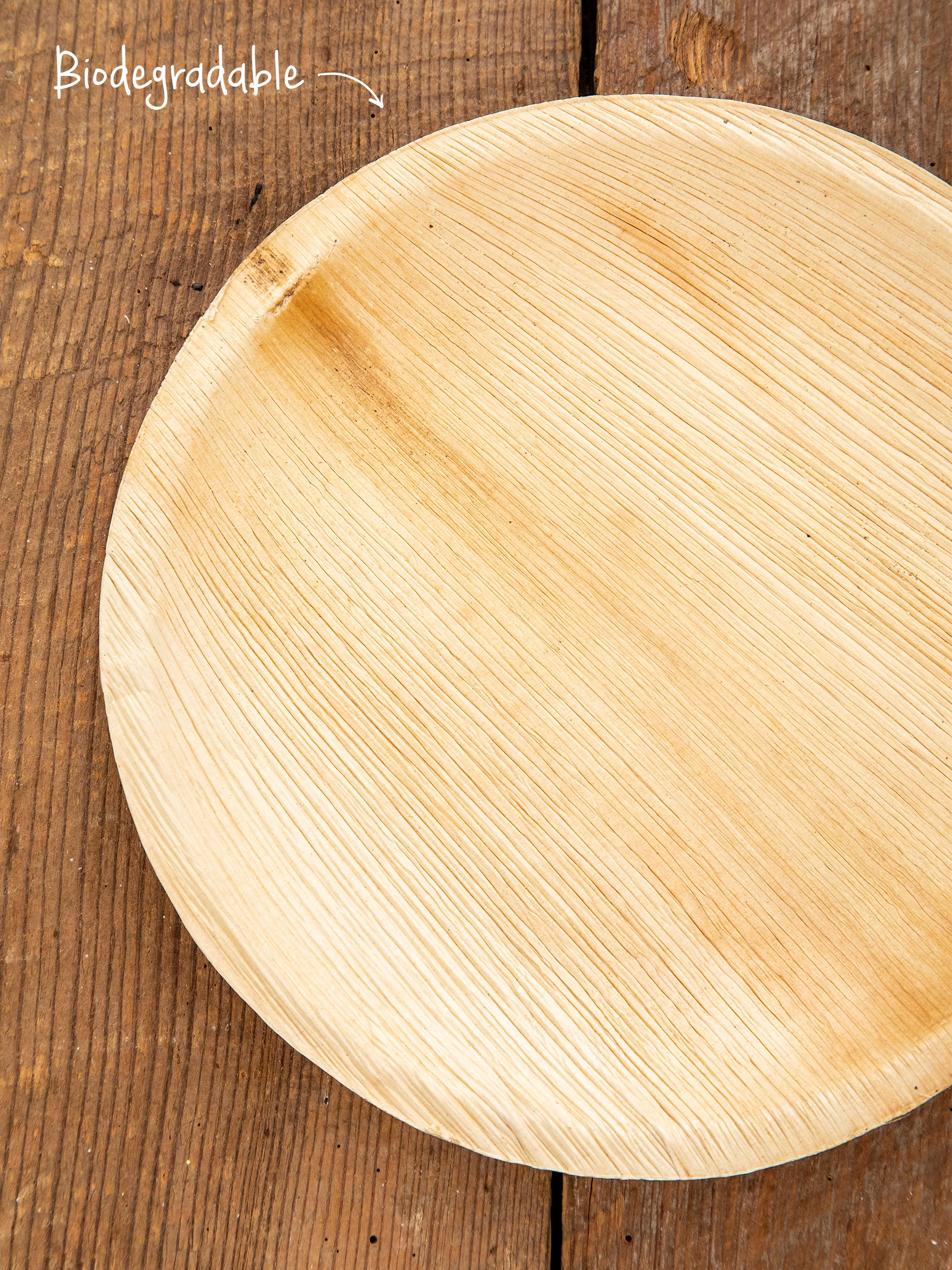 Palm Leaf Round Plates, Set of 12 - 8 Inch