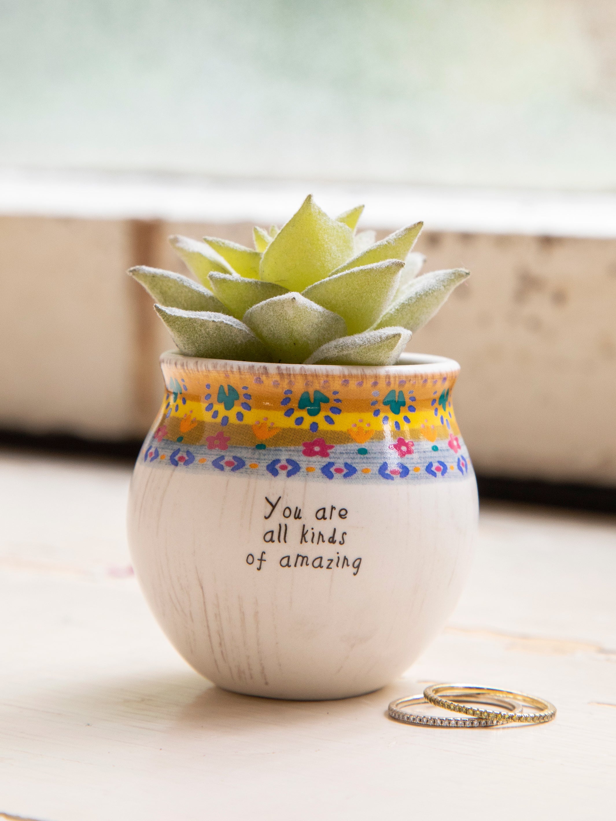 Mini Faux Succulent Plant - Amazing