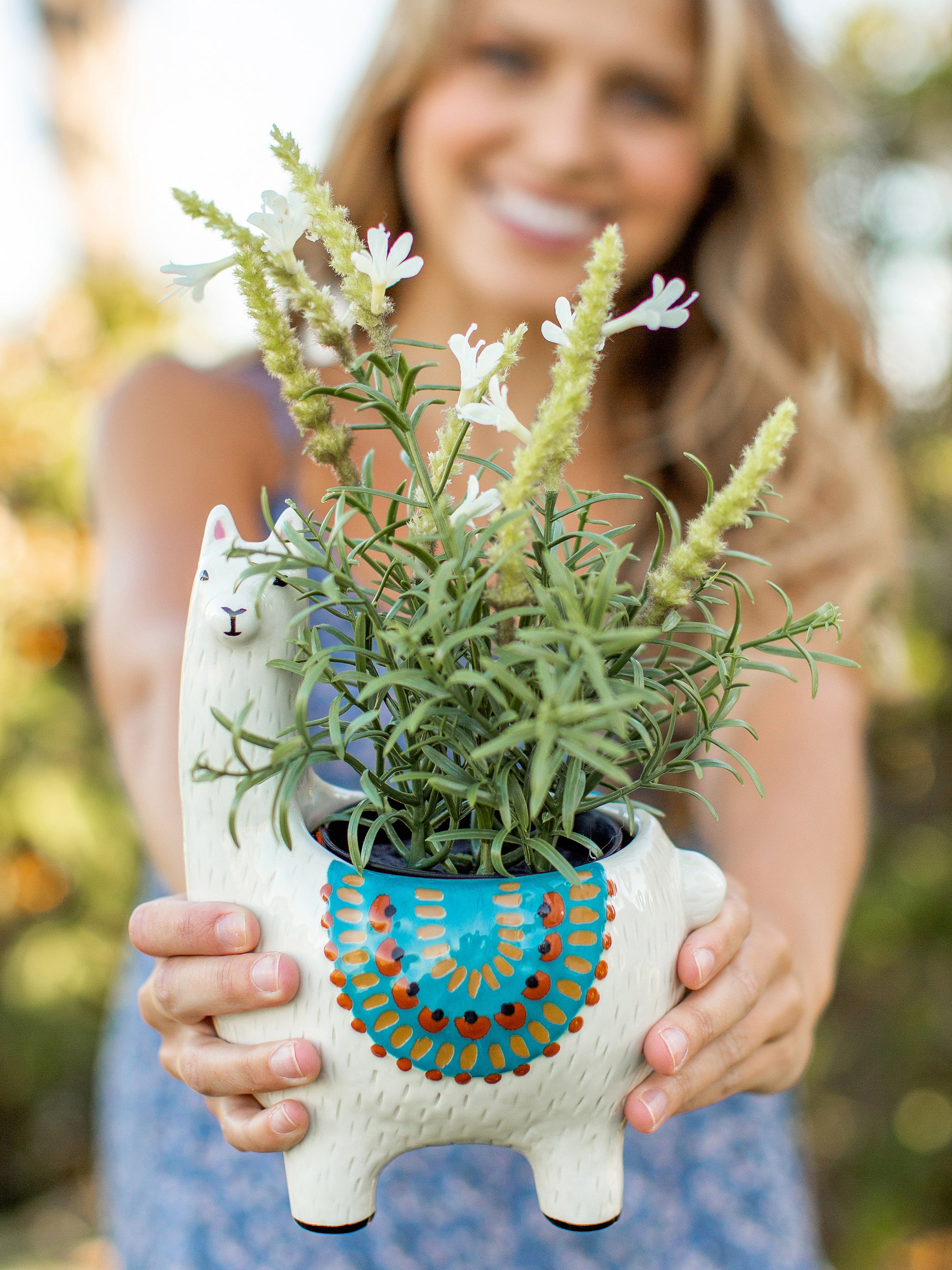 So Cute Ceramic Planter - Lesli The Llama