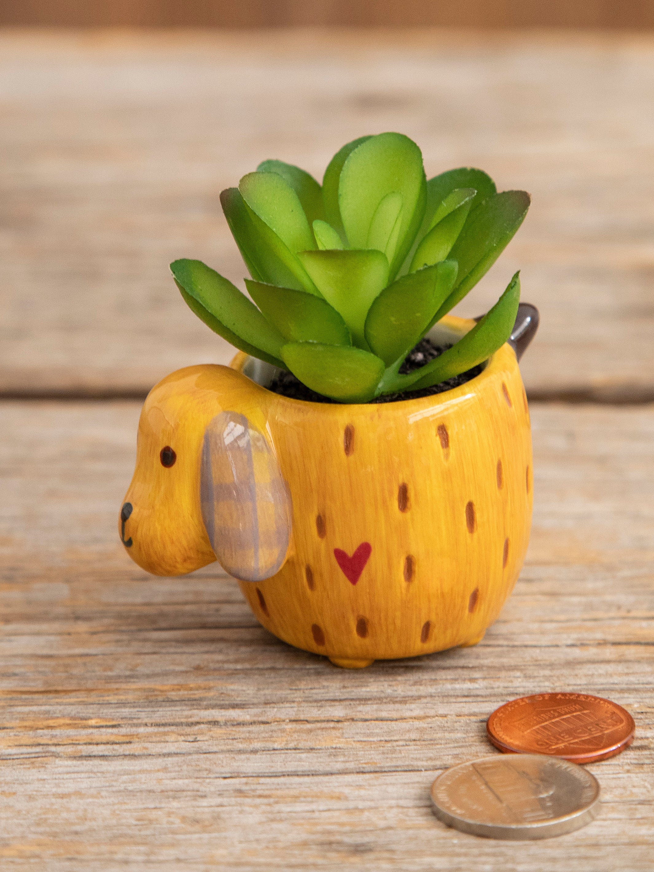 Tiny Faux Succulents - Dog