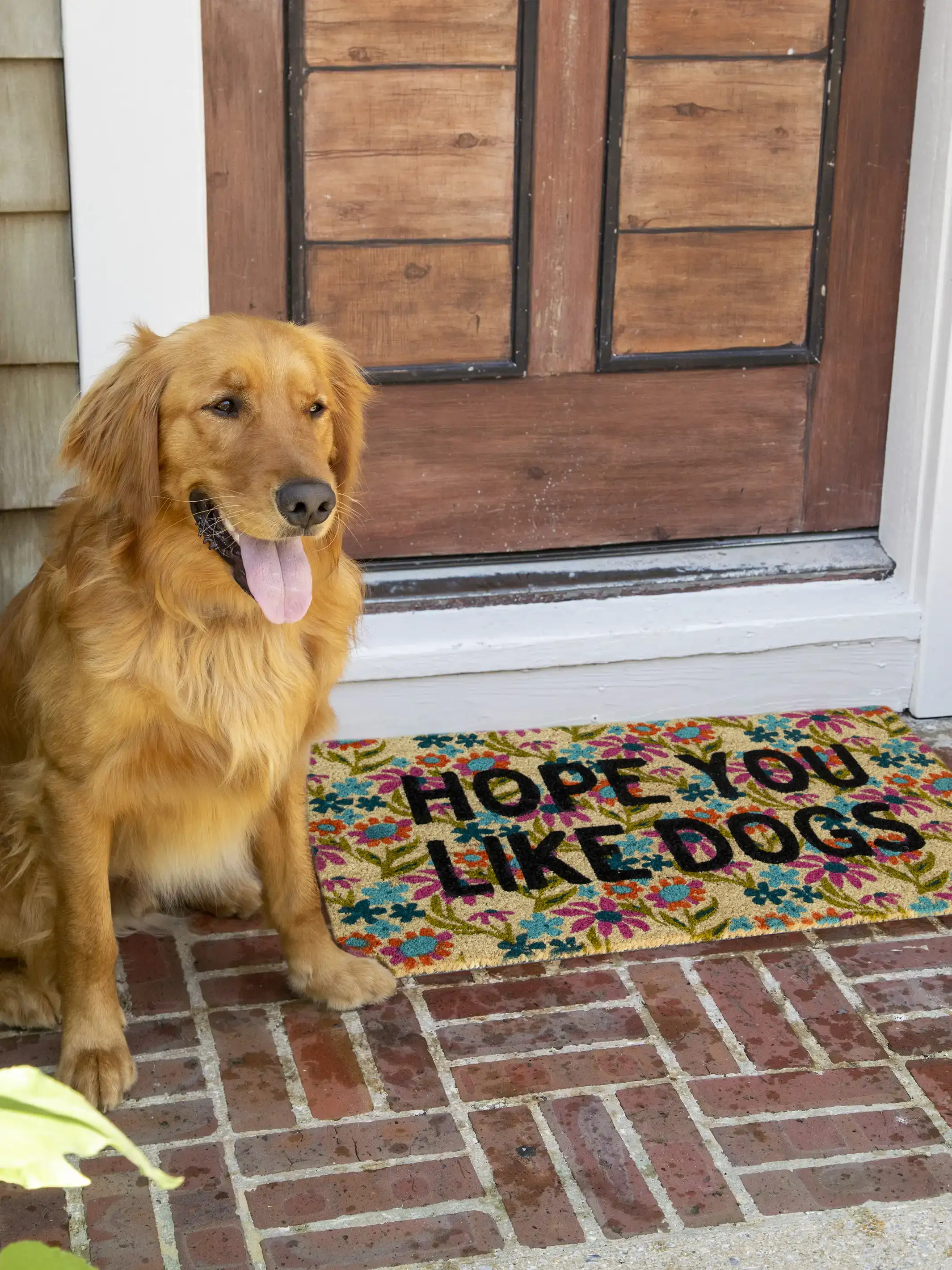Bungalow Doormat - Like Dogs Cream