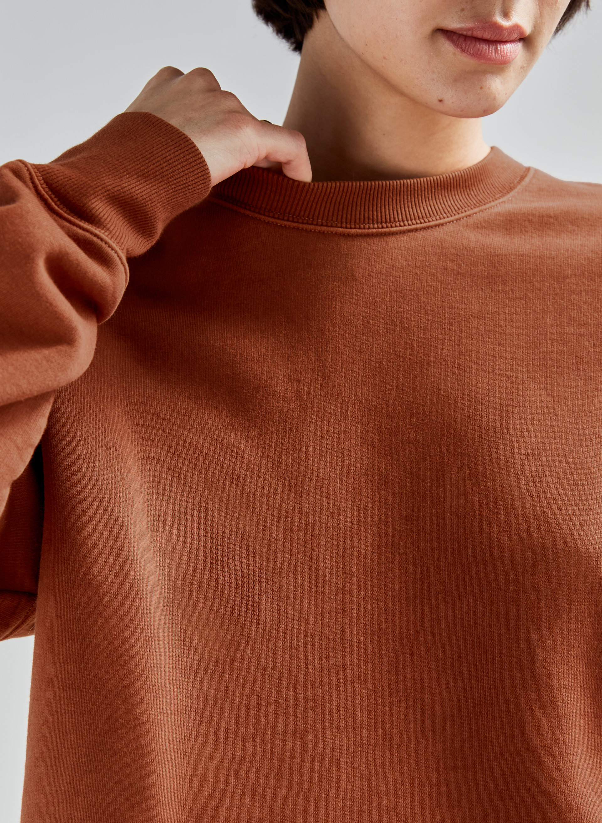 Free Fleece Cropped Sweatshirt