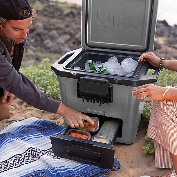 Ninja FrostVault 28L Cool Box Grey FB131UKGY