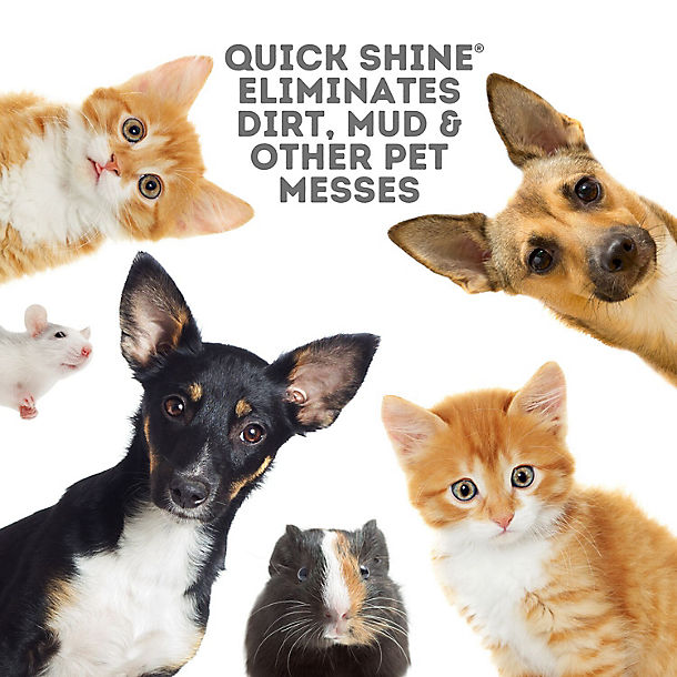 Quick Shine Plant-Based Pet-Friendly Floor Cleaner