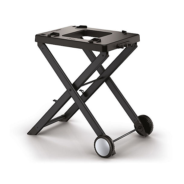 Ninja Woodfire Electric BBQ Grill Stand