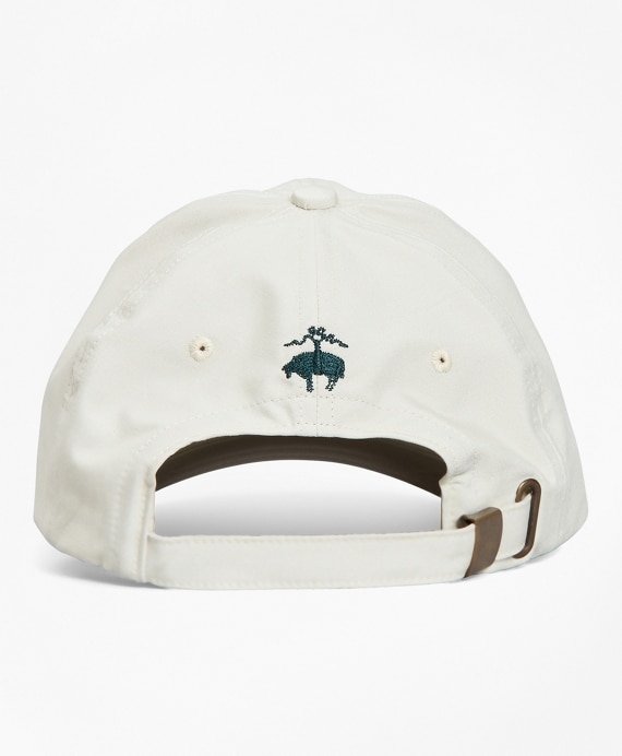 Palm Tree Baseball Hat