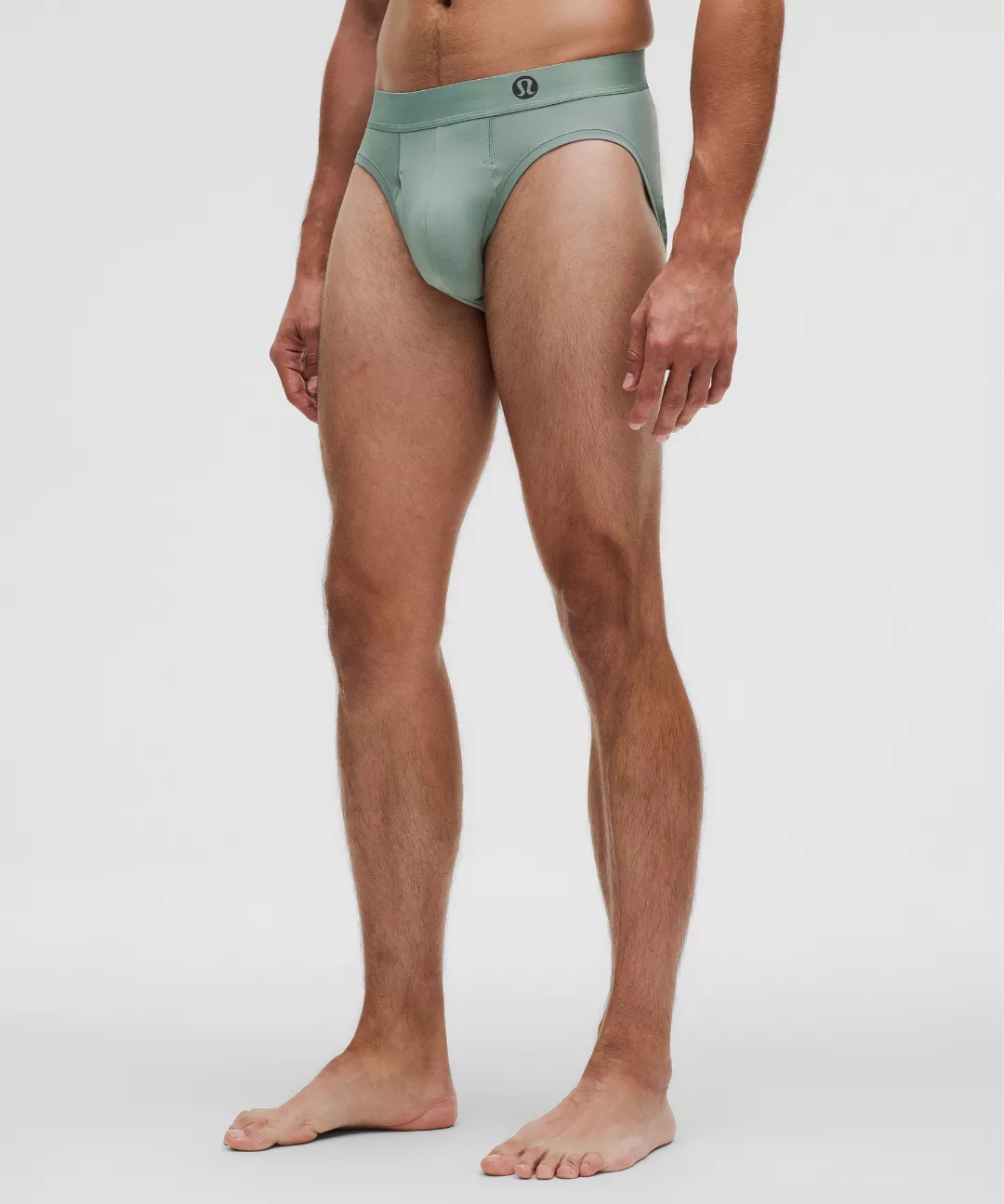 Always In Motion Brief with Fly
