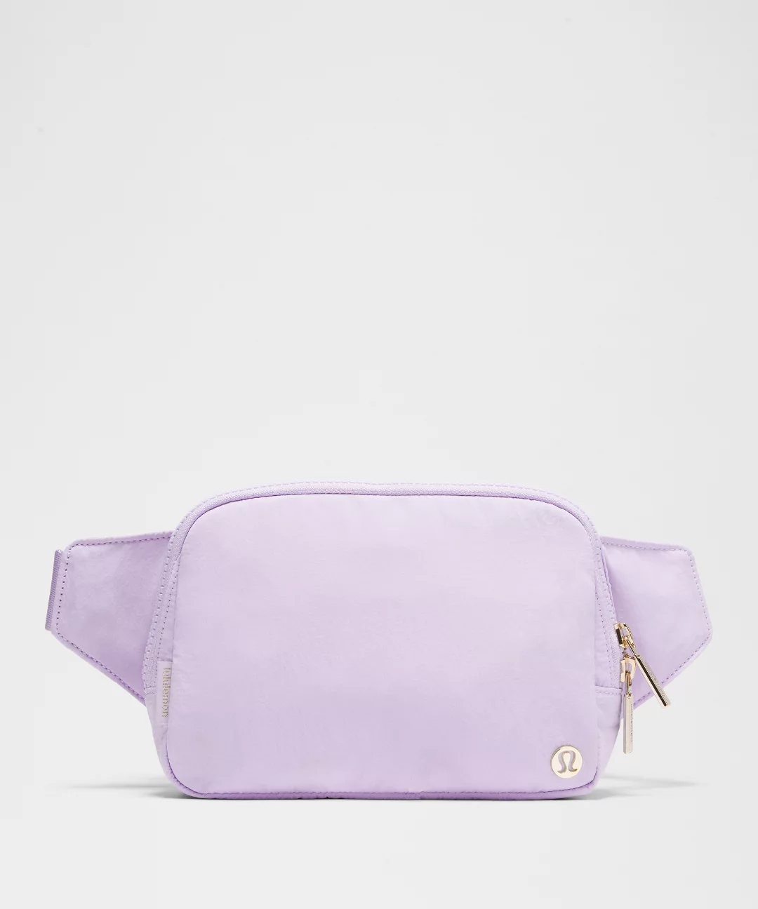 Everywhere Belt Bag Large with Long Strap 2L