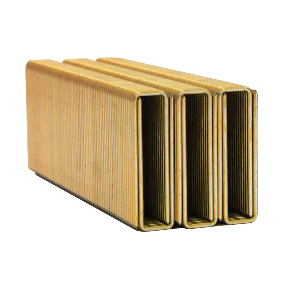 AIRCO Staples Electro Galvanised - 38mm Box of 10000 SG55380