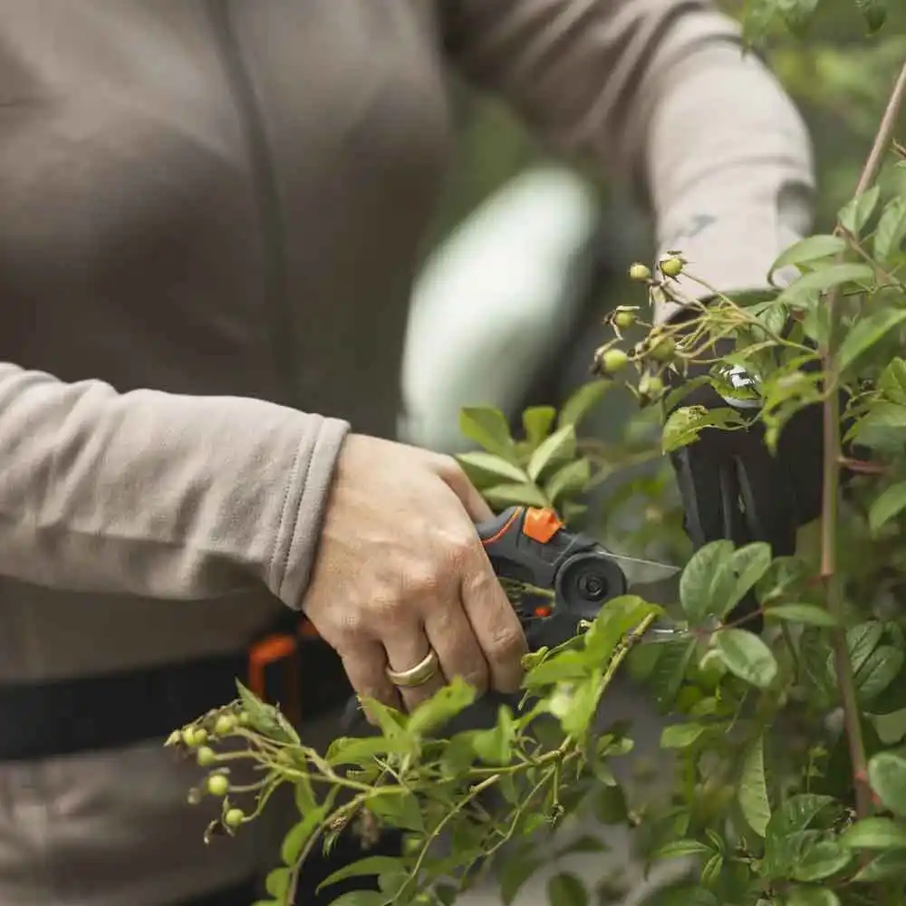 HUSQVARNA Medium Secateur 546341601