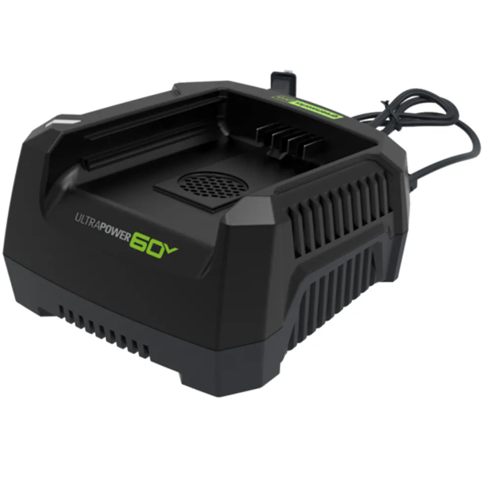 GREENWORKS 60V 6A Fast Charger 2936107AU