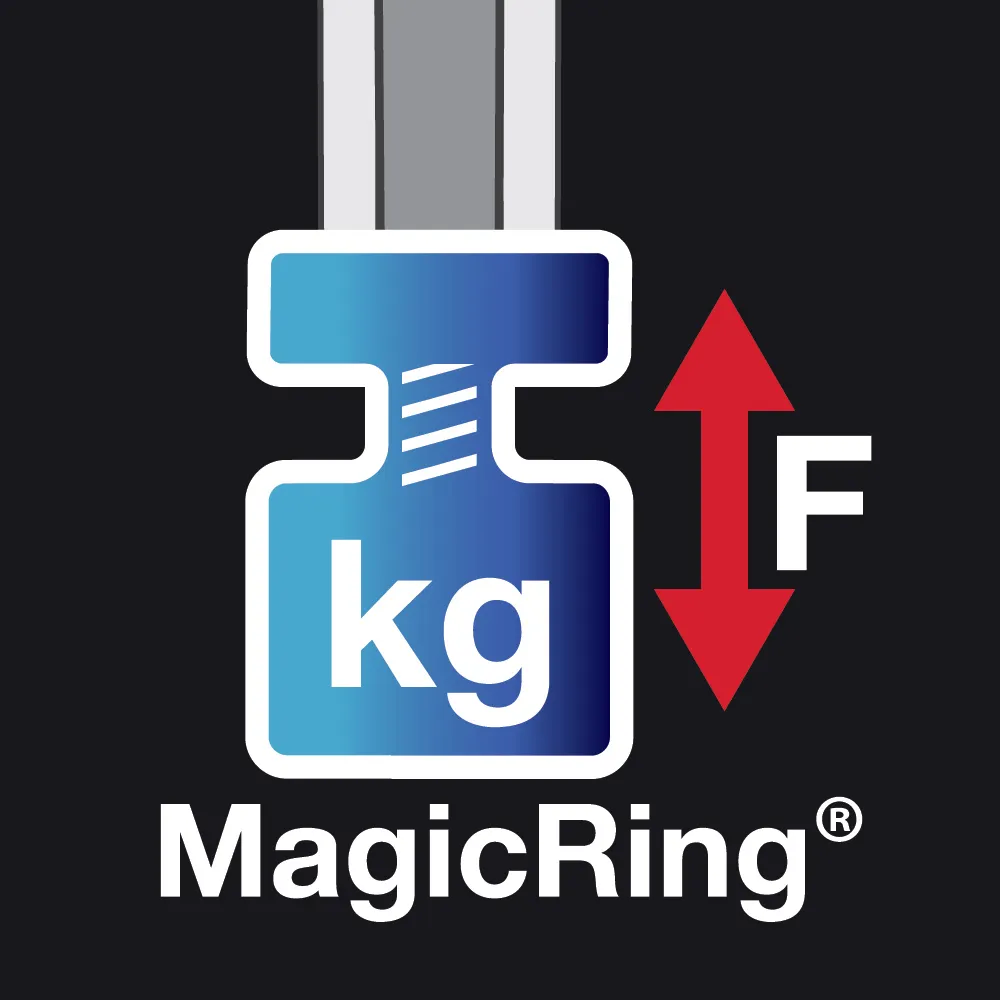 WIHA EGROSTAR 9 Piece Ballpoint Magicring Metric Hex Key Set 43851