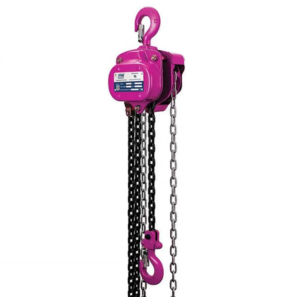 ITM 1 Tonne 6m Lift Heavy Duty Chain Block Load Limited TM9022-01006