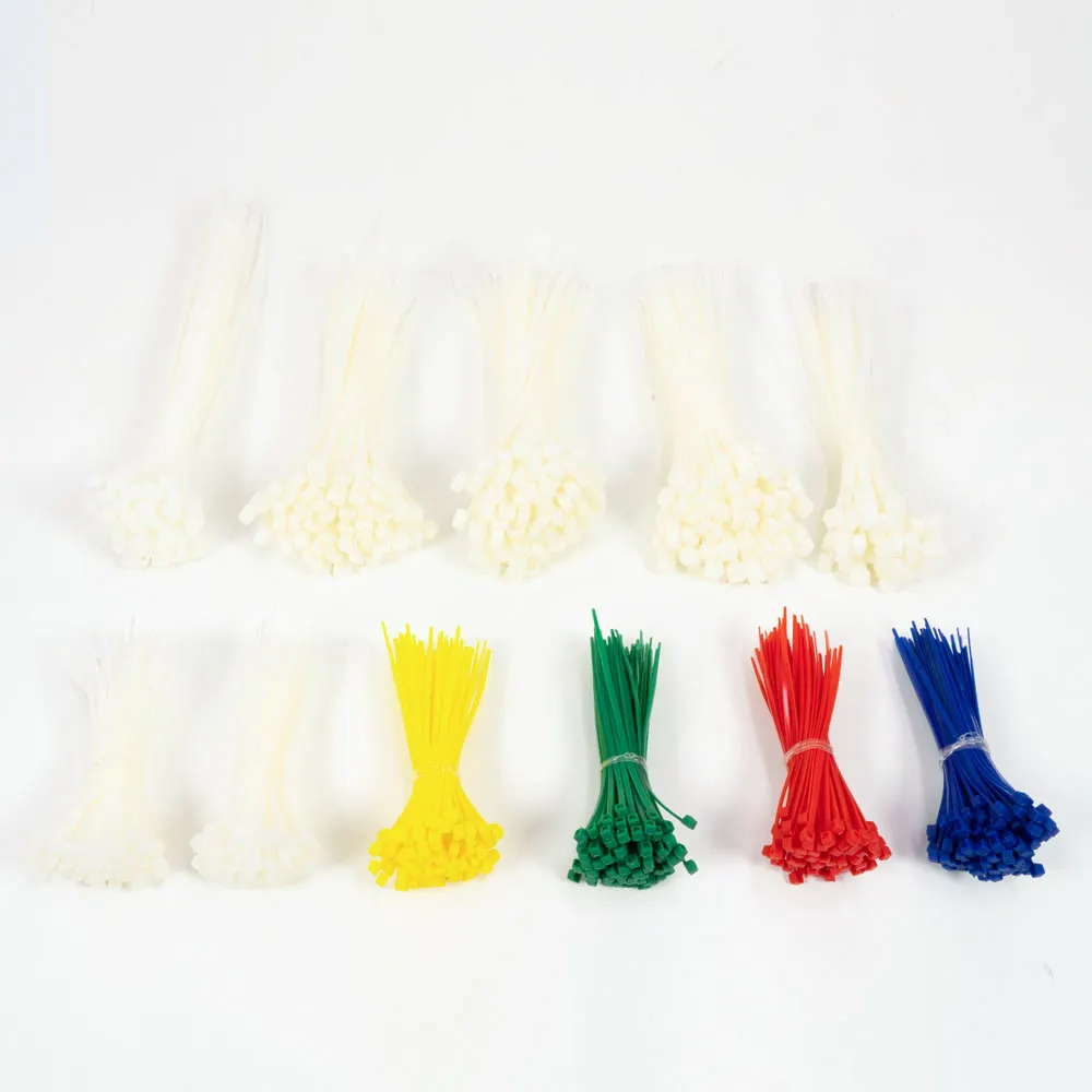DETROIT 1000 Pack Cable Ties Assortment DCTAS1000PK