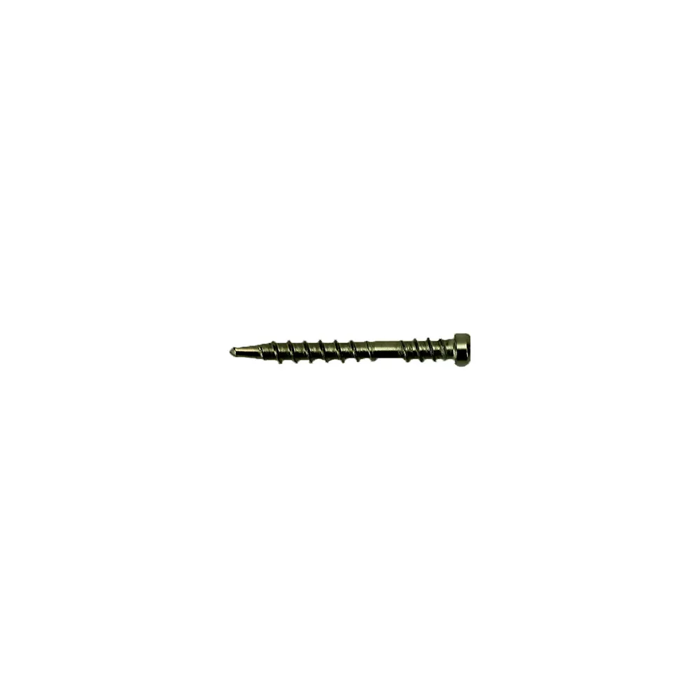 OTTER 500 Pack 10 x 50mm 304SS Dexpert Decking Screw DBES10505