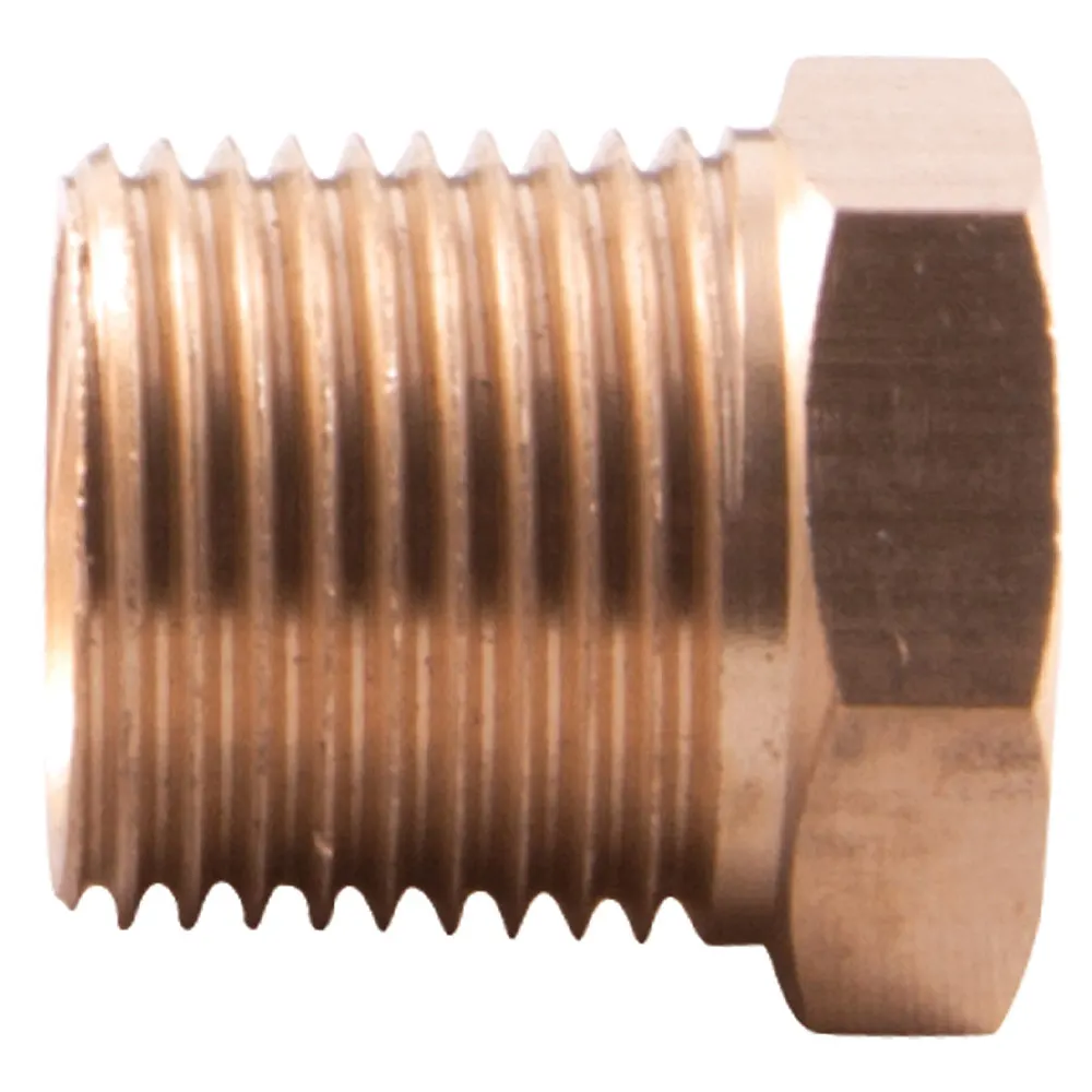 SONSBEEK 3/8Inch Tail x 1/4Inch Brass BSP Reducing Bush 24RB0604B