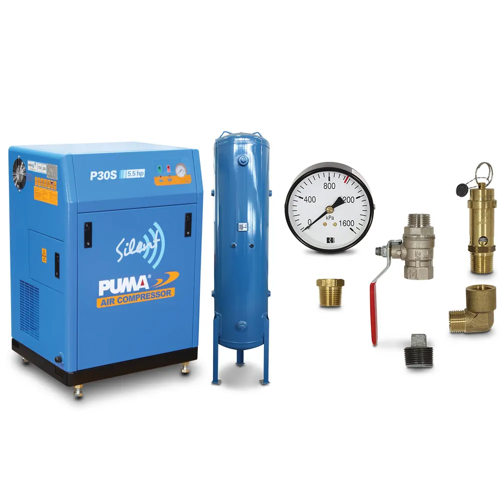PUMA Piston Air Compressor Silent 5.5HP & 300L Tank Basic Kit PUP30S415VBPG