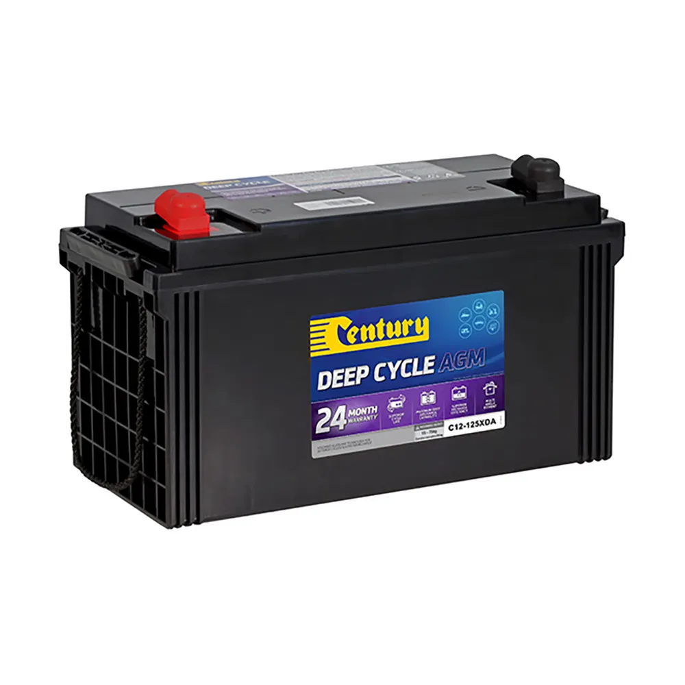 CENTURY C12-125XDA AGM Car Battery 148124