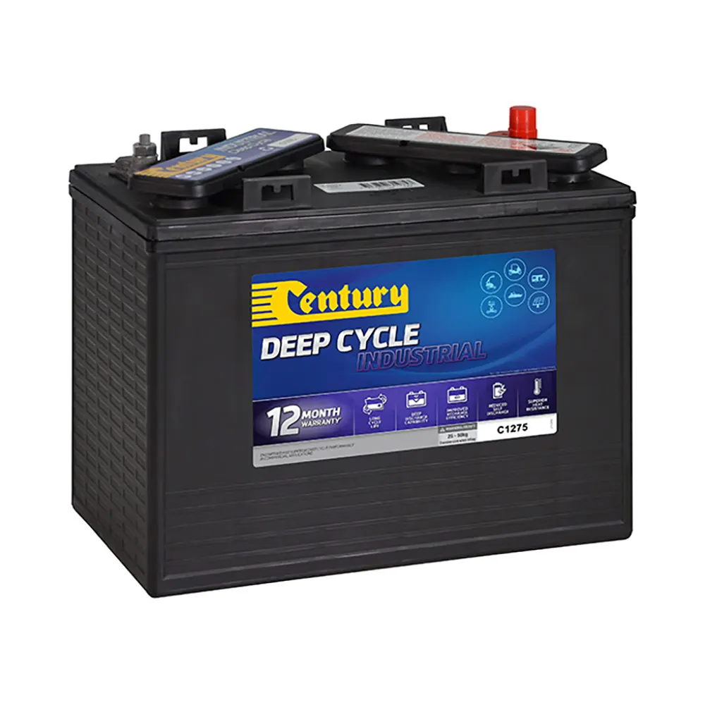 CENTURY C1275 Car Battery 141117