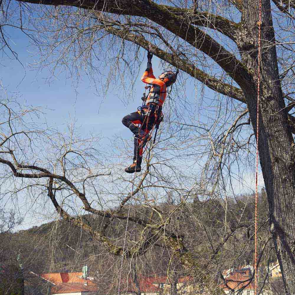 HUSQVARNA 11.5mm 60M Orange Climbing Rope 534098702