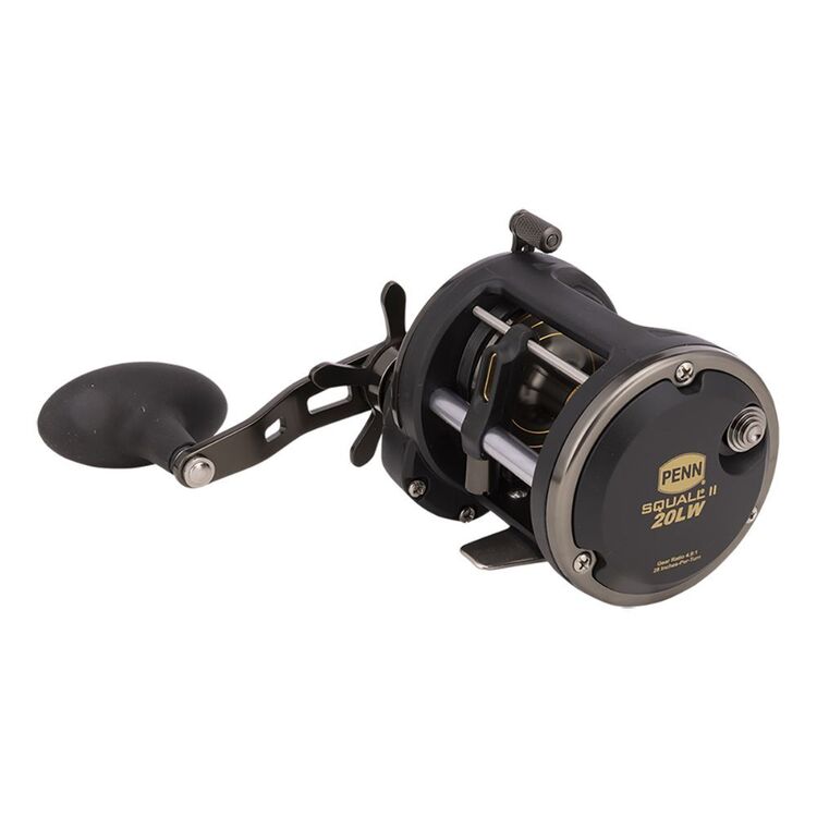 Penn Squall II Level Wind Overhead SQL20LW Reel Multicoloured