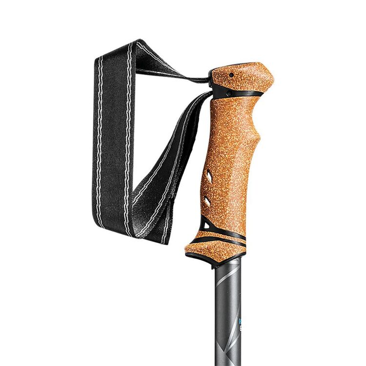 Leki Legacy Walking Pole Anthracite & Petrol