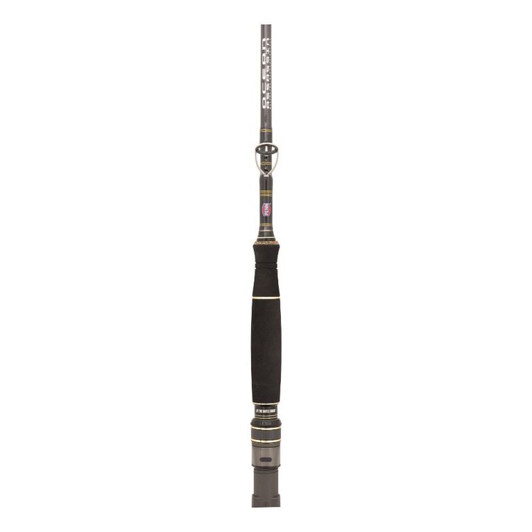 Penn Ocean Assassin 661M PE 1.5-3 Overhead Rod Black