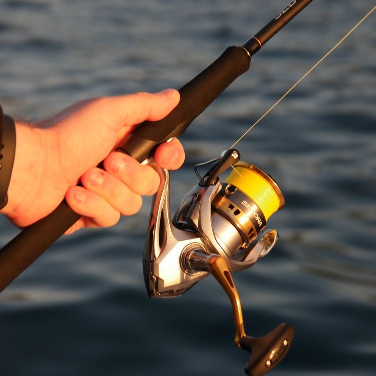 Shimano Sedona XT 7' 2pc 4-8kg Spin Rod