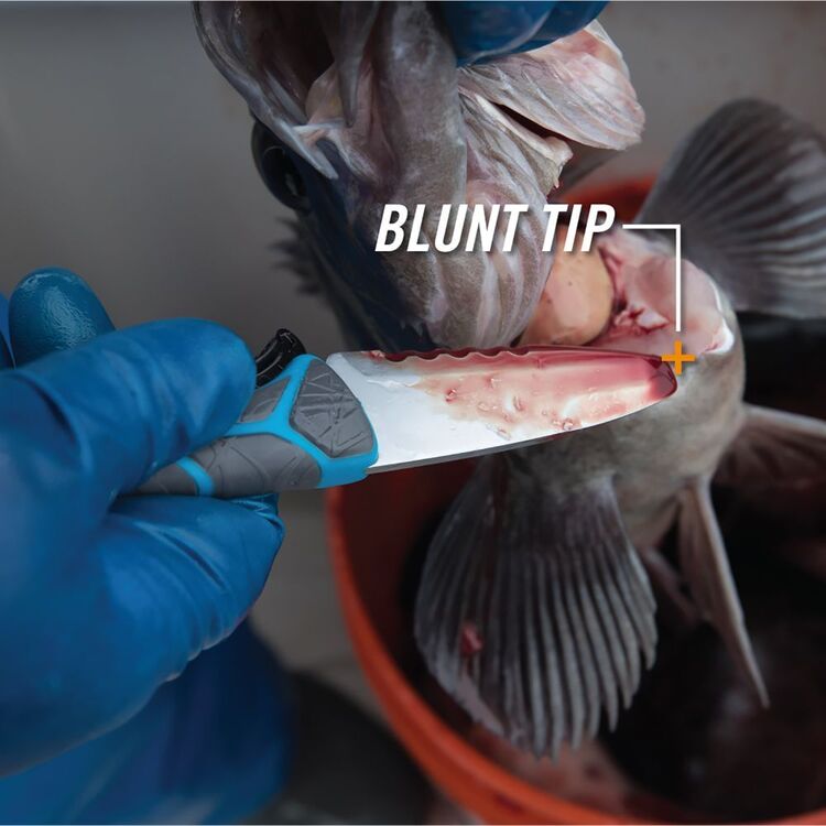 Gerber Salt RX Crossriver Combo Knife Blue