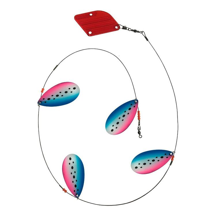 Tasmanian Devil Cow Bell Rainbow Trout