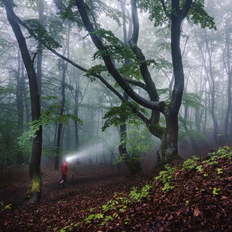 LED Lenser HF8R Core Bluetooth 1600 Lumen Rechargeable Headlamp Black 1600 Lumens