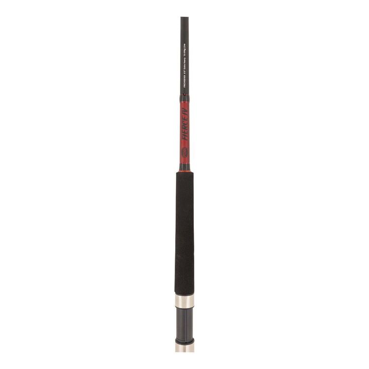 Penn Fierce IV 6' 1pc 15-24kg 6000 Spin Combo