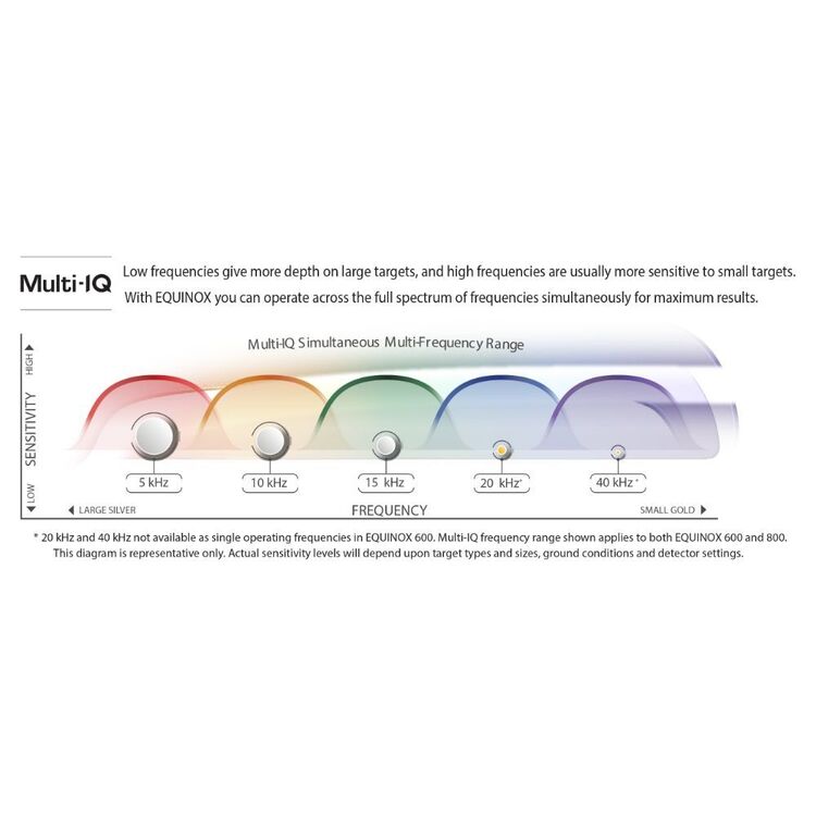 Minelab Equinox 800 Metal Detector