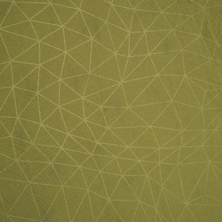 Sea To Summit Camp Self-Inflating Sleeping Mat Regular Olive Green