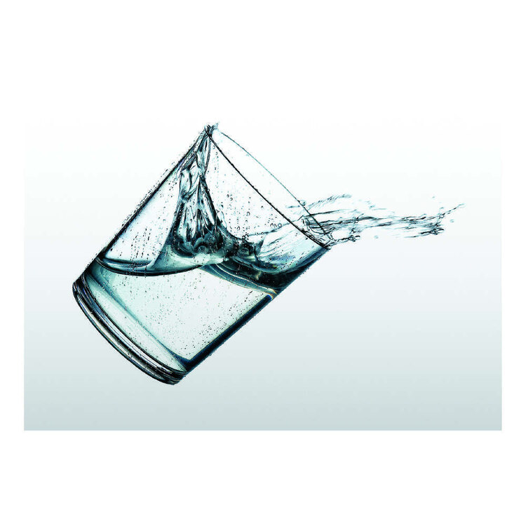 Palm Alfresco Tritan Forever Tumbler 2 Pack 400ml