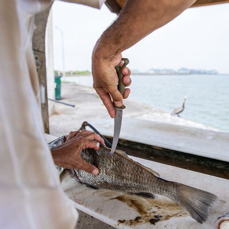 Gerber Ceviche Fillet Knife Green