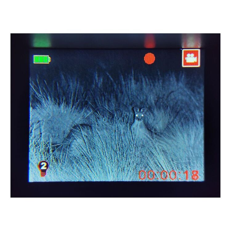 7 x 31 Digital Night Vision Infrared Binocular Black 7 x 31 mm