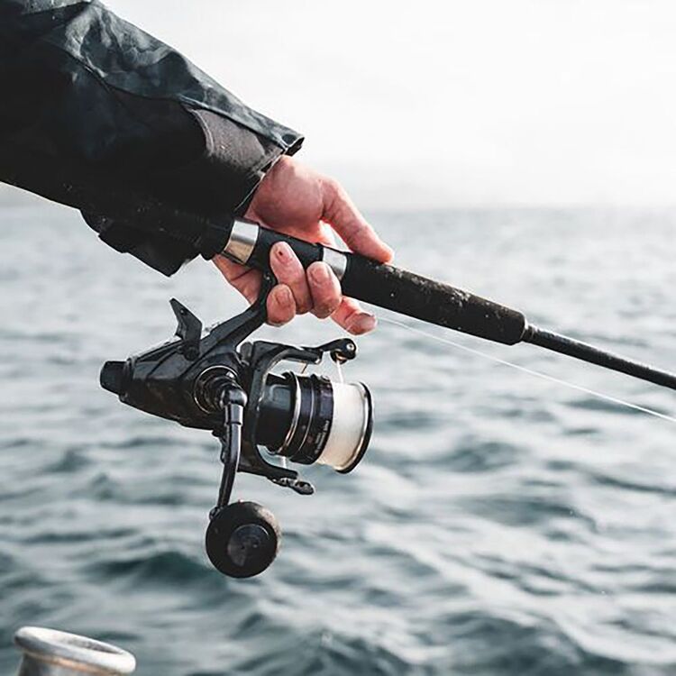 Daiwa Free Swimmer BR 8000 Spinning Reel