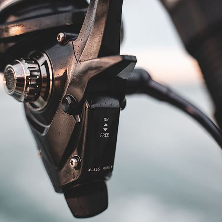 Daiwa Free Swimmer BR 8000 Spinning Reel