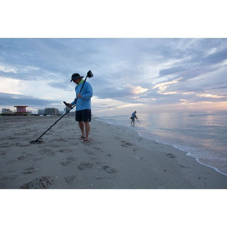 Minelab Equinox 800 Metal Detector
