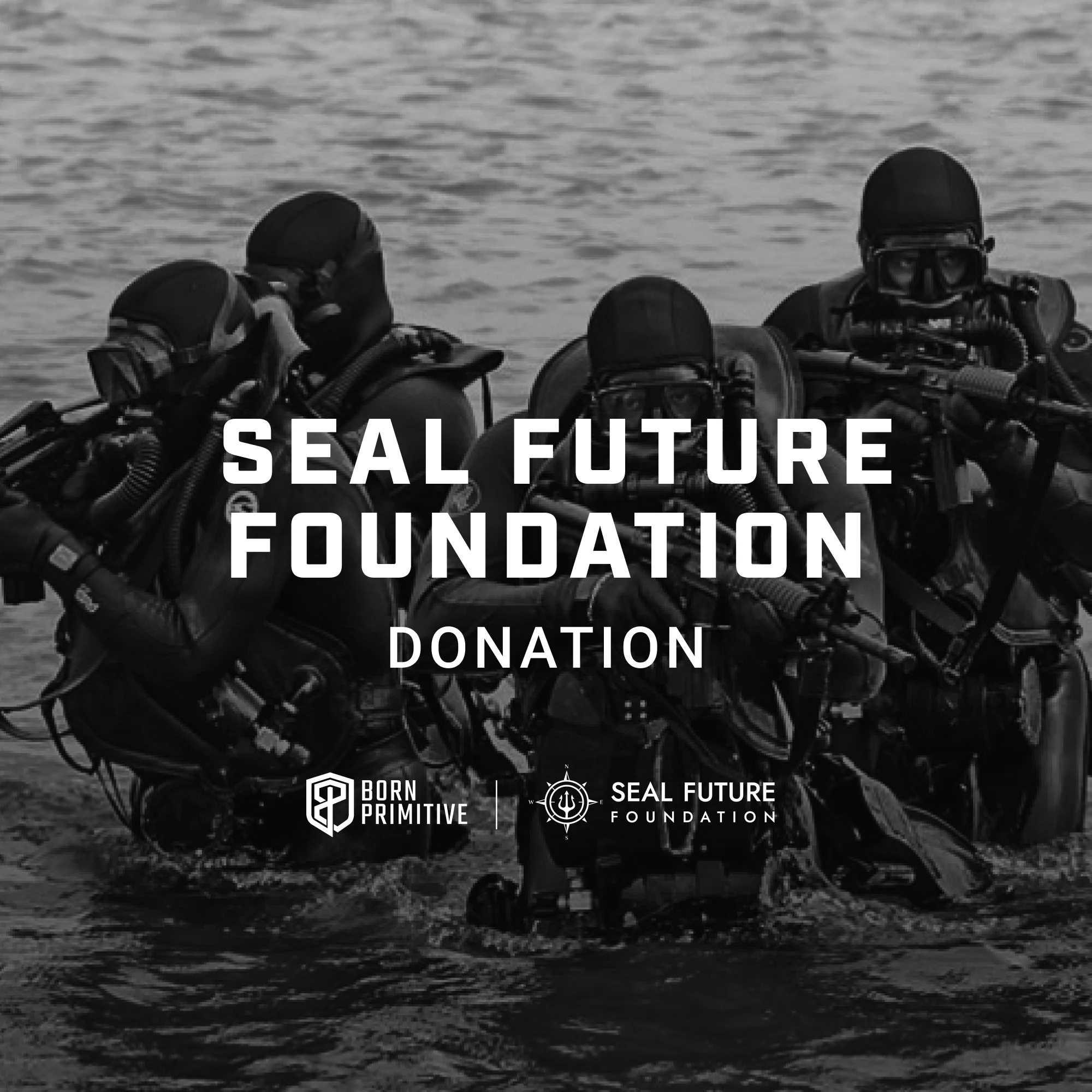 Seal Future Foundation Donation