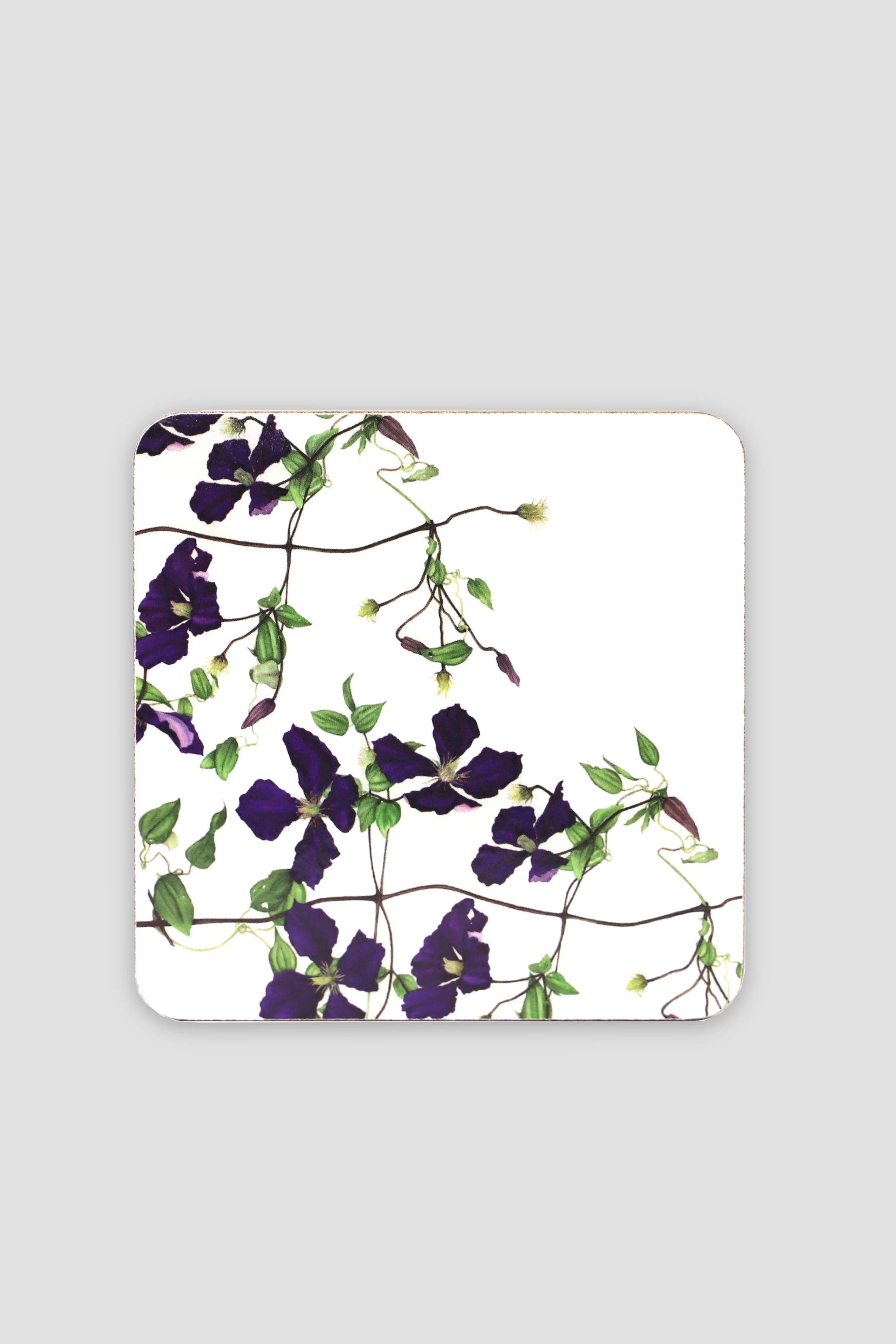 Botanical Cork Backed Coasters