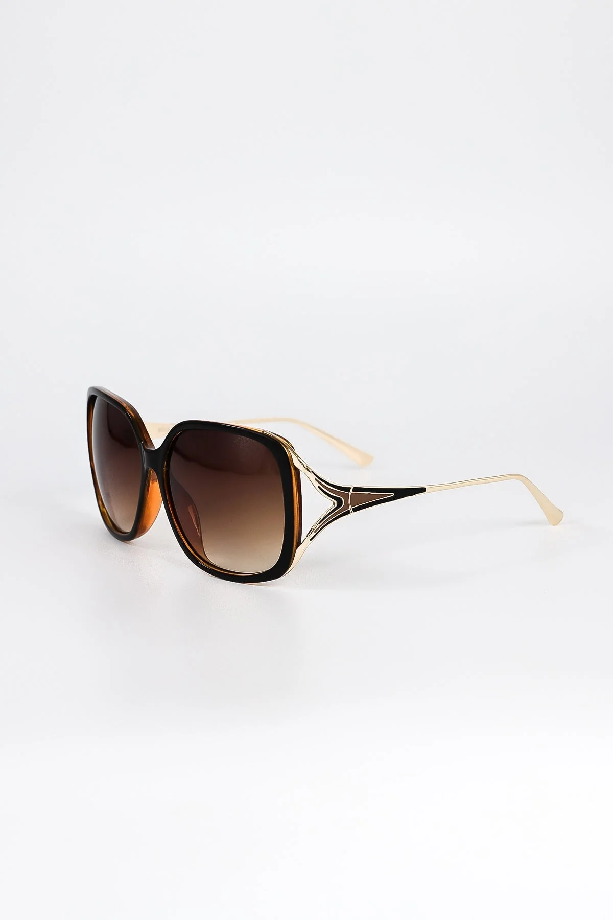 Black and Brown Contrast Arm Sunglasses