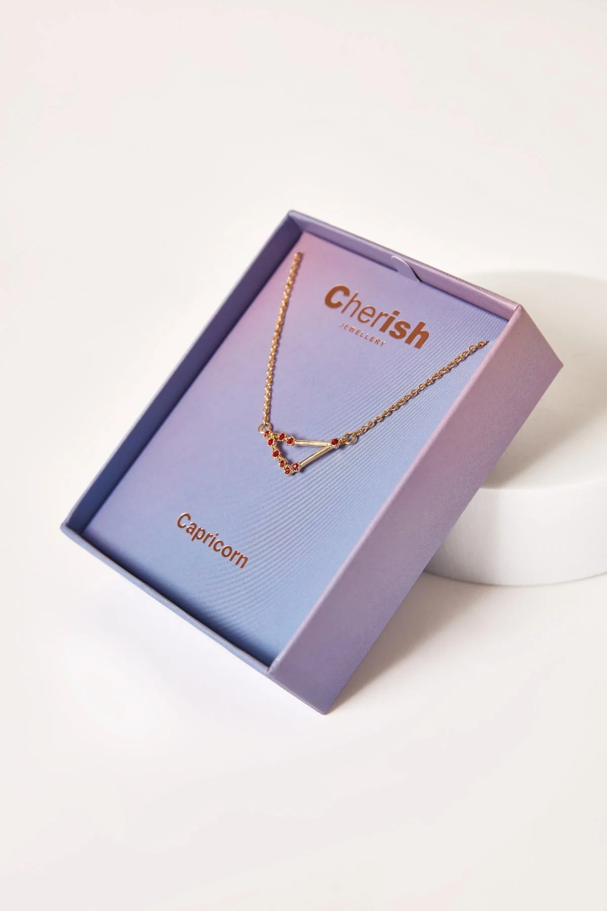 Capricorn Necklace