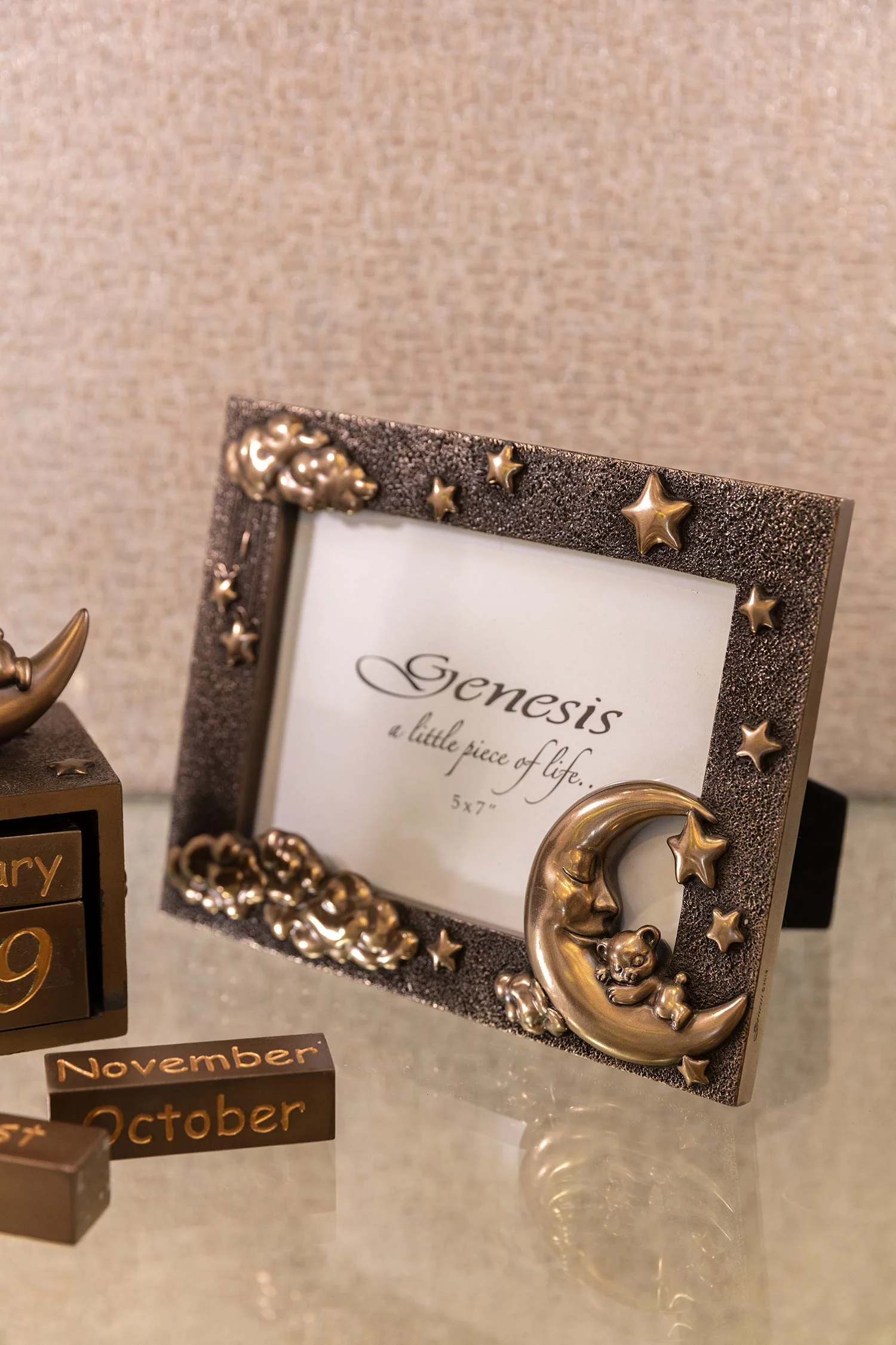 Bronze Moon and Teddy Photo Frame