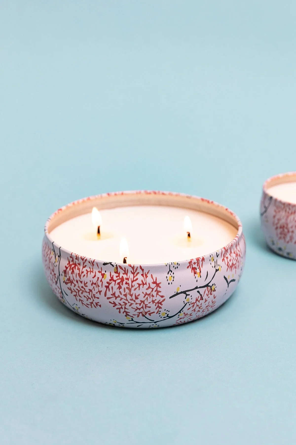 Grapefruit & Currant Large Travel Candle