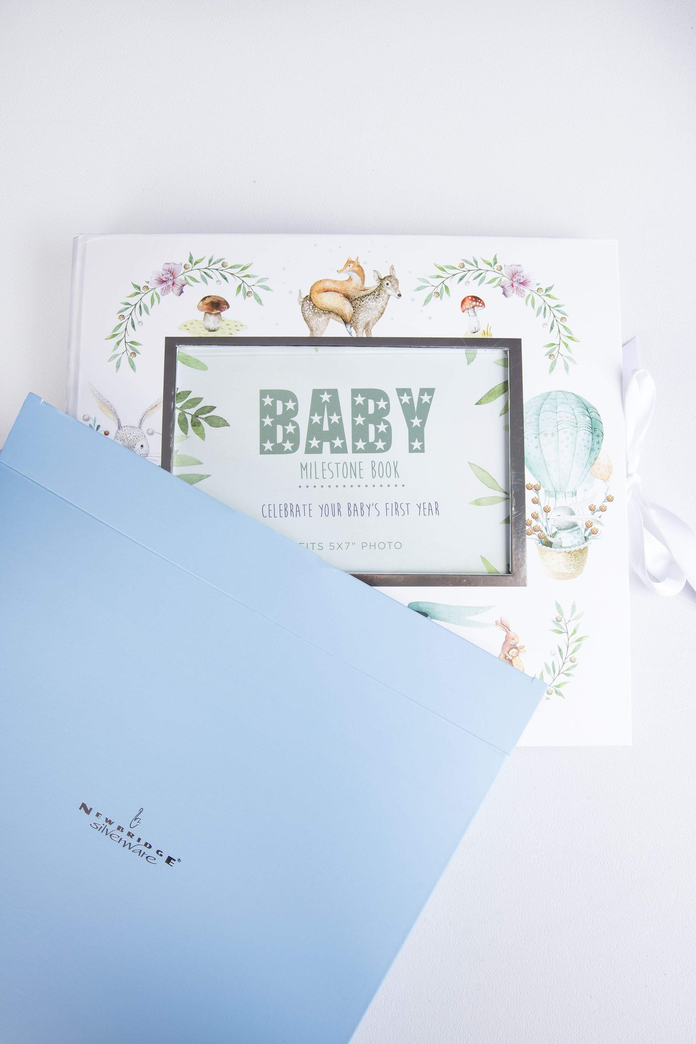 Baby Milestone Book