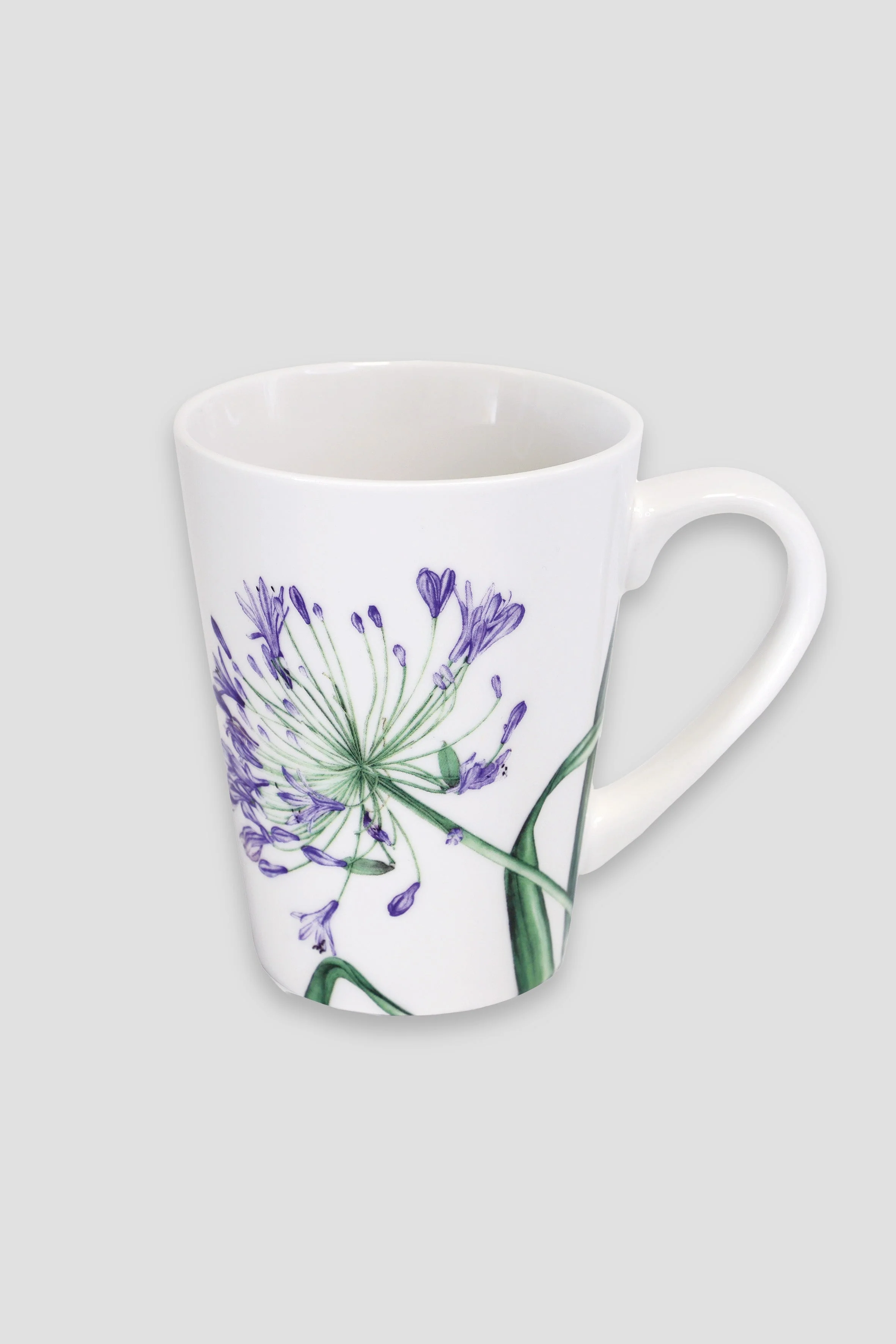 Botanical Agapanthus China Mug